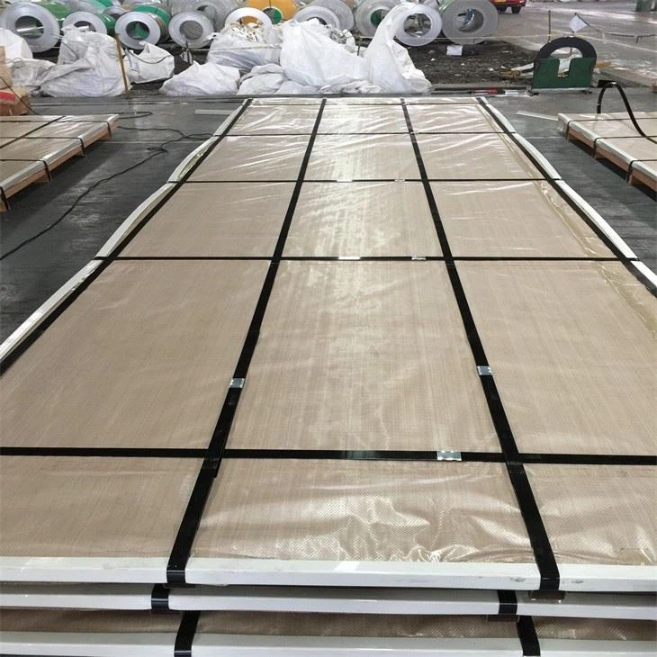 stainless steel plate (10)