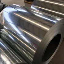Zinc Coated Coils Roofing Materials Dx51d Galvanized Steel Coil