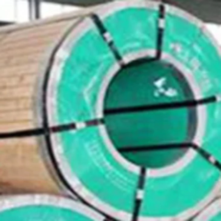 1.4460 Stainless Steel Coil