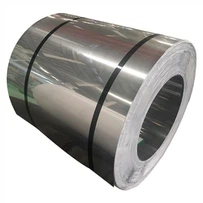 1.4319 Stainless Steel Coil