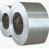 1.4401 Stainless Steel Coil--used Under Harsh Conditions