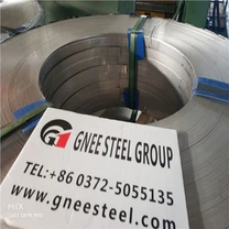 310S Coil 310