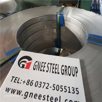 310S24 BS Coil