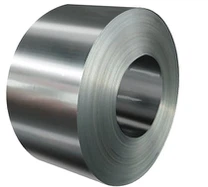 ASTM 317 Stainless Steel Coil