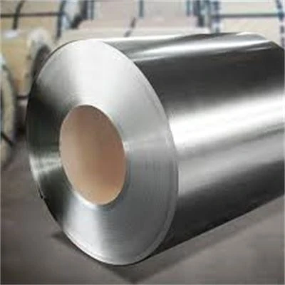 Future Perspective Galvanized Coil
