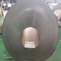 High Quality Steel Cold Steel Coil Dc06
