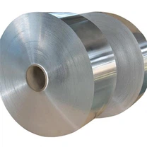 STAINLESS STEEL COIL S31500